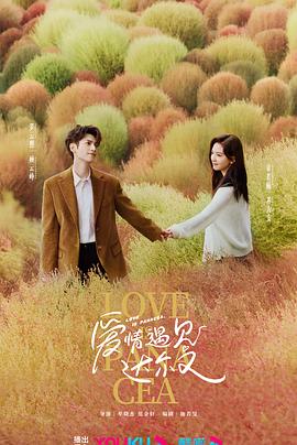 成都seo页面优化